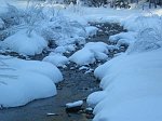 RUSCELLO DI MONTAGNA CON NEVE